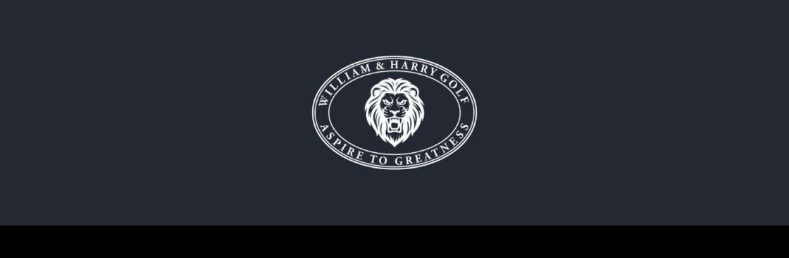 WILLIAM AND HARRY HOLDINGS INC Cover Image