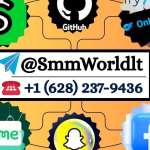 Buy GitHub Accounts Profile Picture