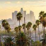 Digital Service Profile Picture