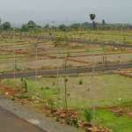 Reeltor official Profile Picture