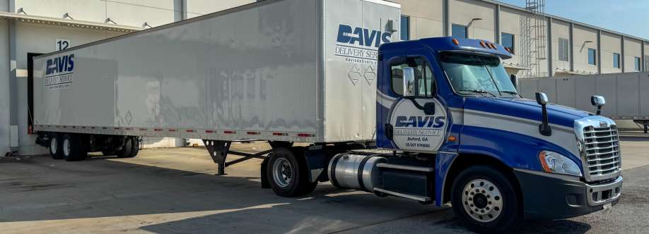 Davis Delivery Service  Cover Image