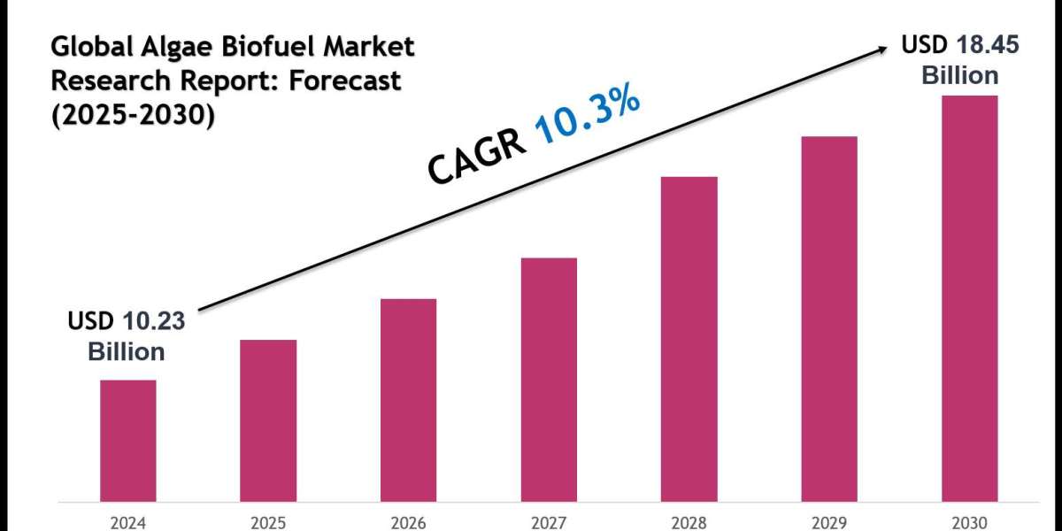 Algae Biofuel Market Forecast 2030 with Charts, Data Visuals & Insights