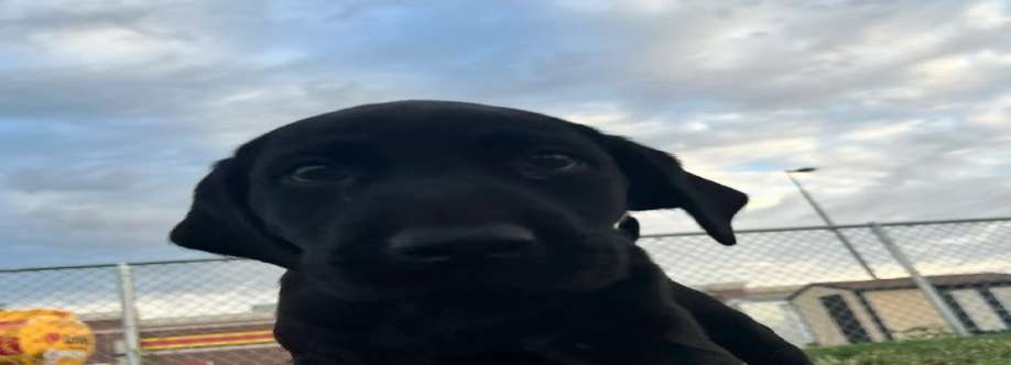 A Worthey Ride Cover Image