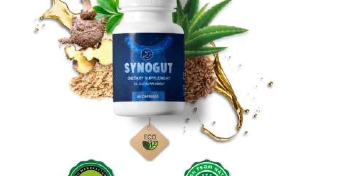 SynoGut: A Natural Approach to Digestive Wellness