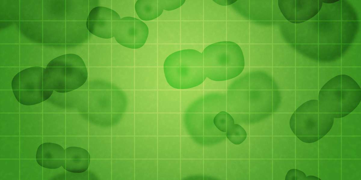 Gold IRA Transfer: A Complete Case Study