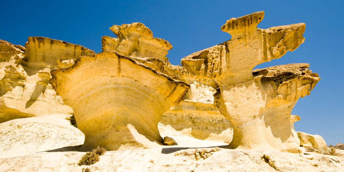 Exploring the Fossil Dunes Abu Dhabi: A Journey Through the Desert’s Ancient Past