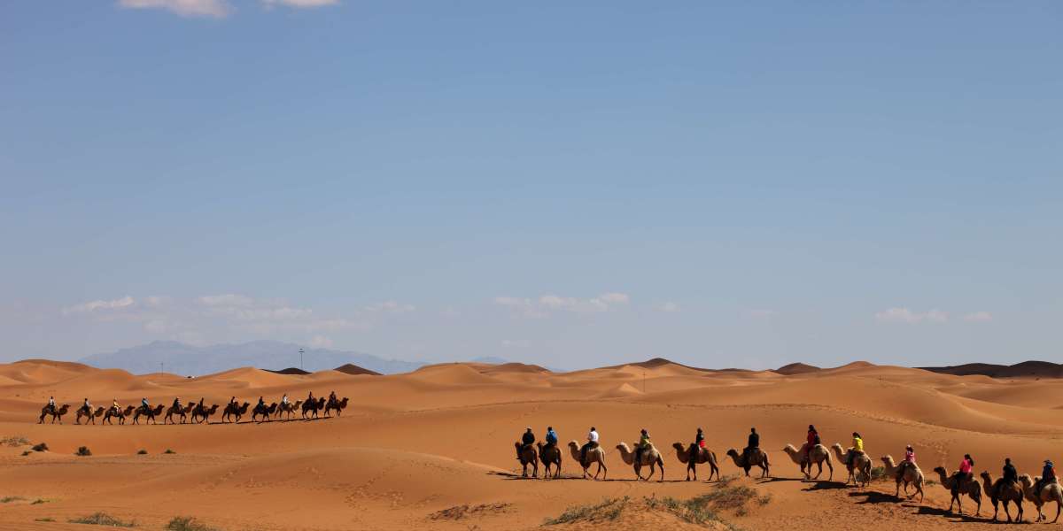 Desert Safari Abu Dhabi – An Unforgettable Journey Through the Arabian Sands