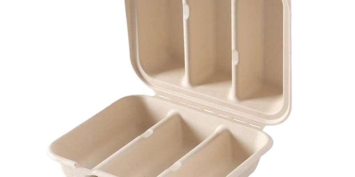 The Future of Sustainable Packaging: A Deep Dive Into Molding Pulp Packaging