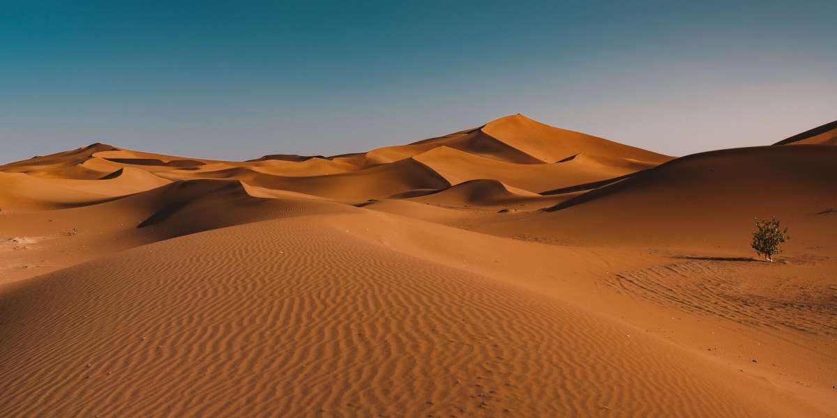 Fossil Dunes Abu Dhabi – Nature’s Sculpture Garden in the Desert