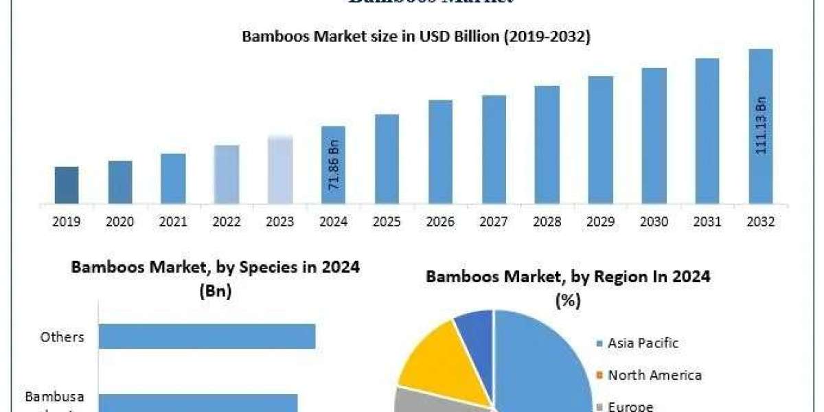 Bamboos Market Strategic Insights & Forecast (2025–2032)