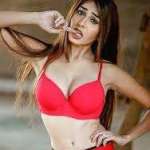 Damini Sharma Profile Picture