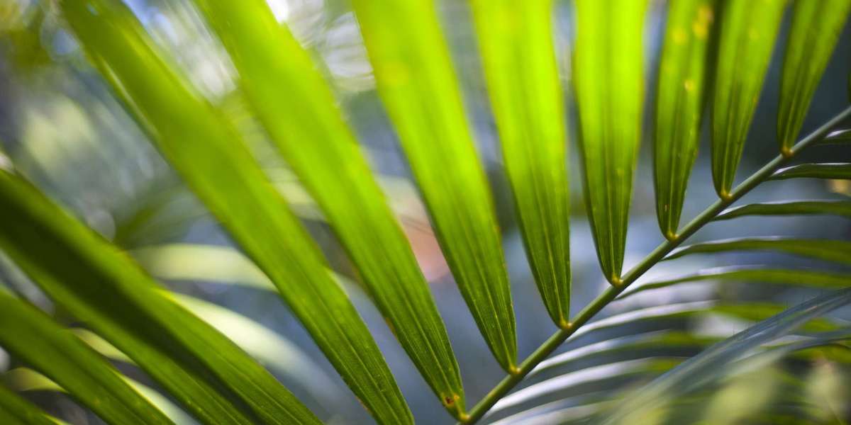 Visitor Information Northern Territory Darwin