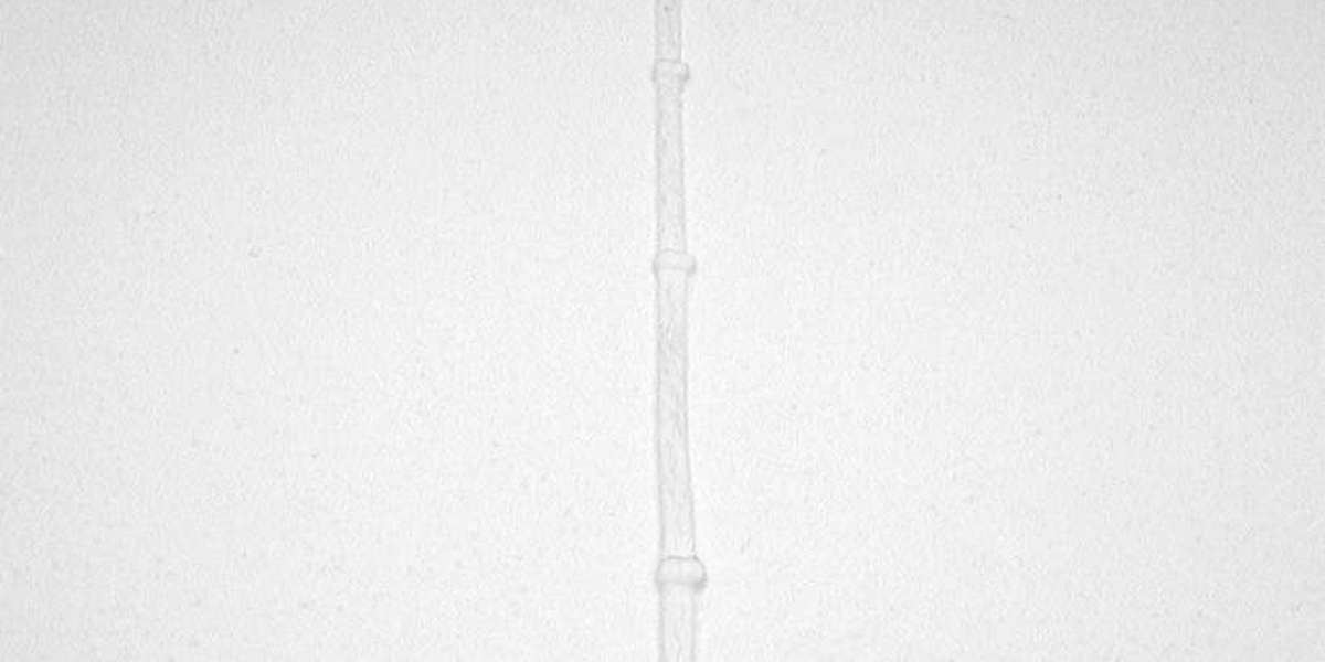 Top Online Casino & Sports Betting in Australia