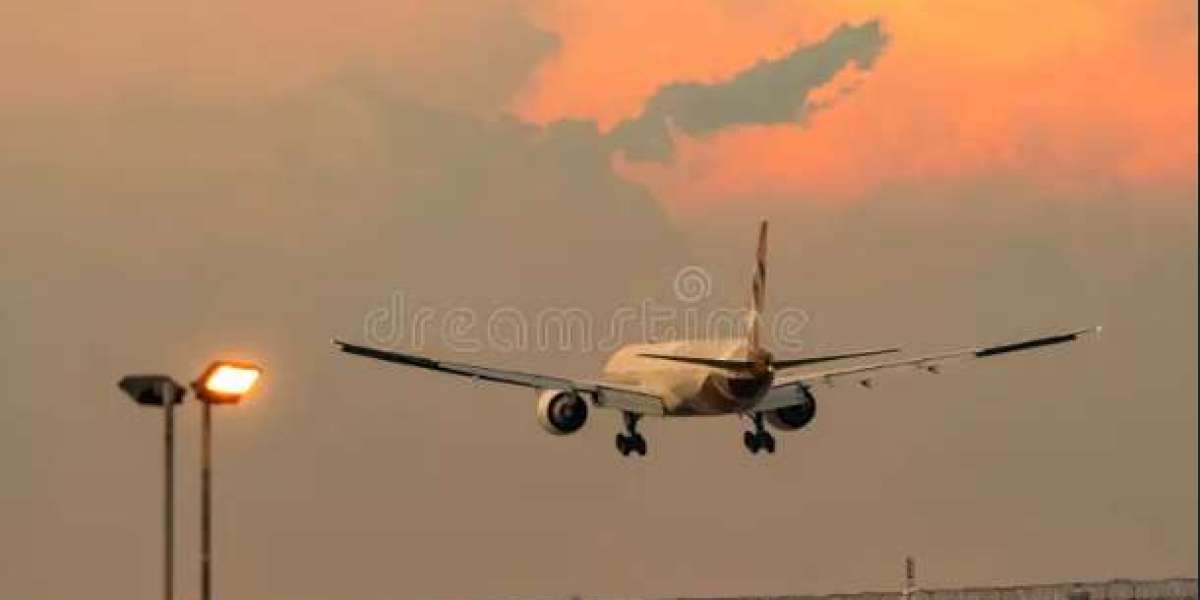 How Flighta Is Bridging the Gap Between Technology and Travel