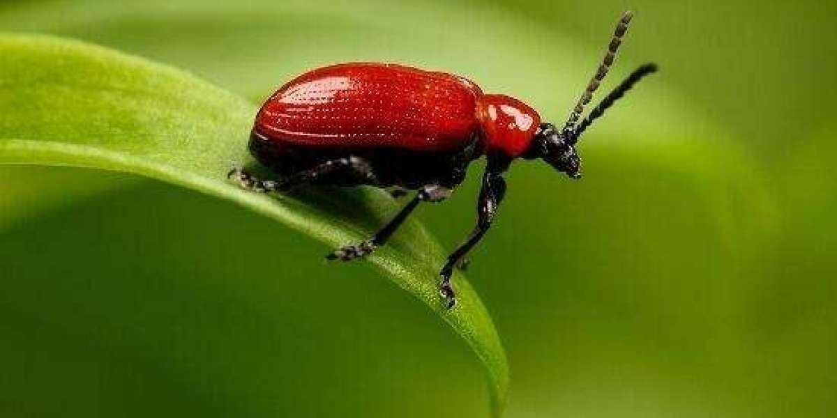 Platte County Assessor's Office