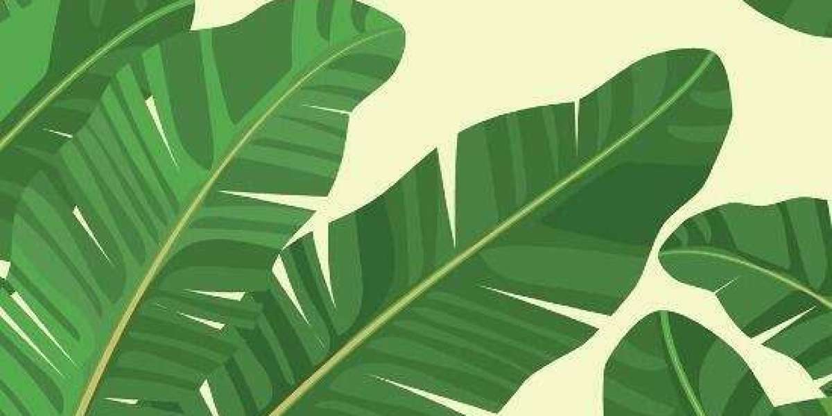 Flamingos Prep for U17 World Cup Qualifier with 25 Player Squad