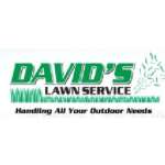 davidslawnservice Profile Picture