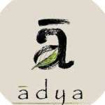 Adya Organics Profile Picture