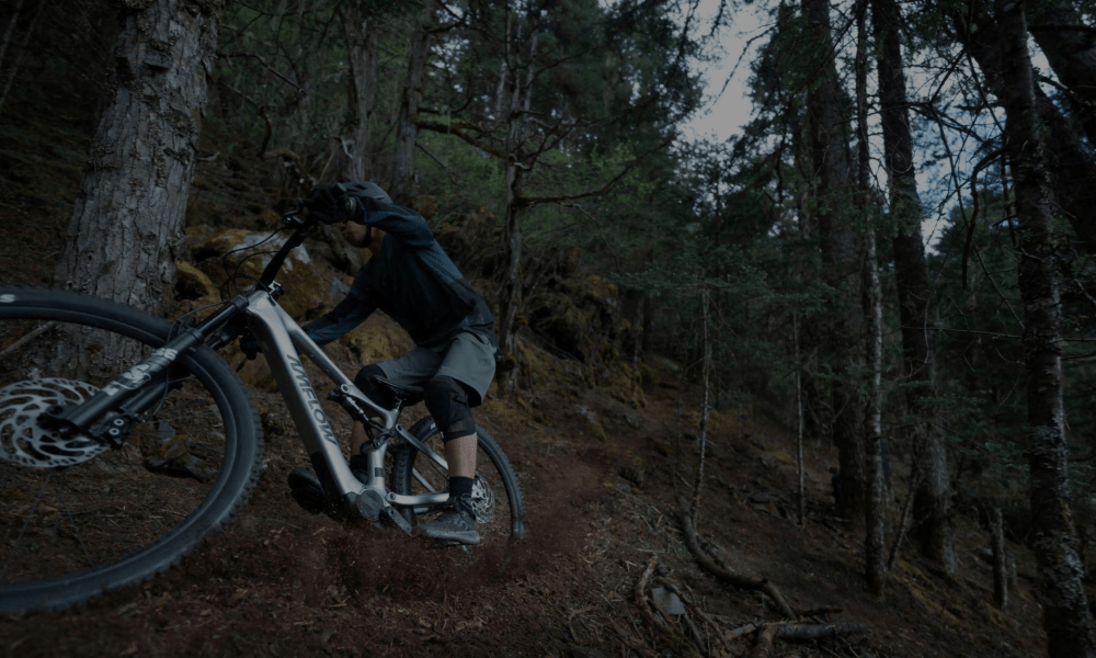Electric Mountain Bike Adventures: How an EMTB Transforms Your Ride