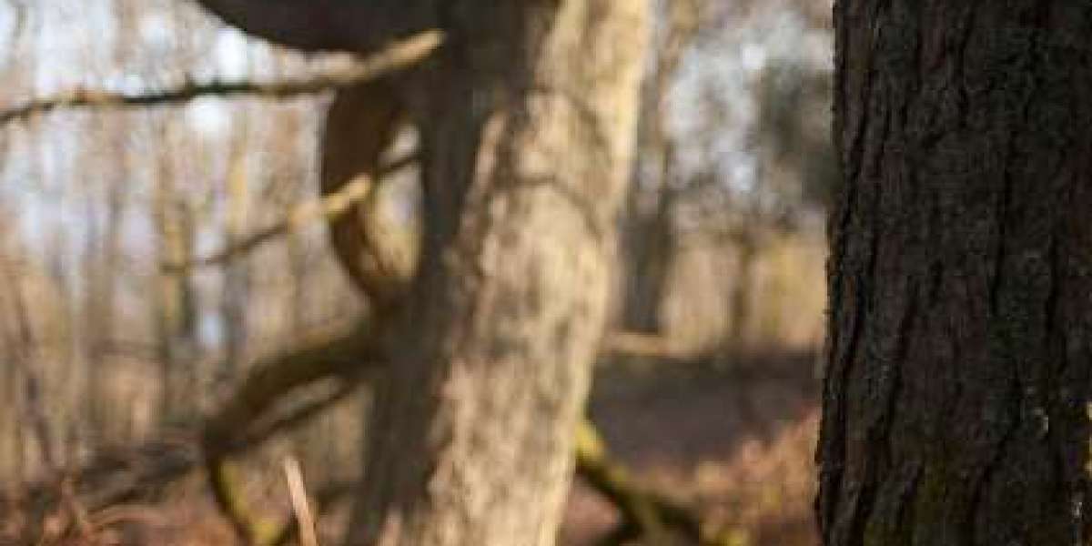 Meet the People Behind the Play