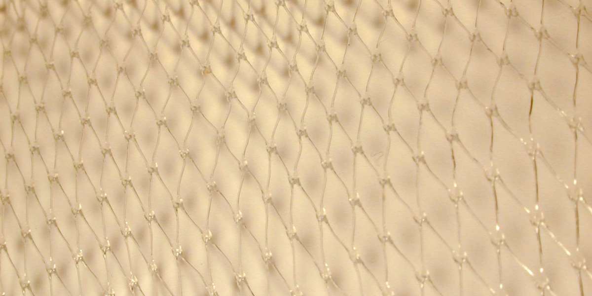 Play 19,430+ Free Slot Games 98 5% RTP No Download