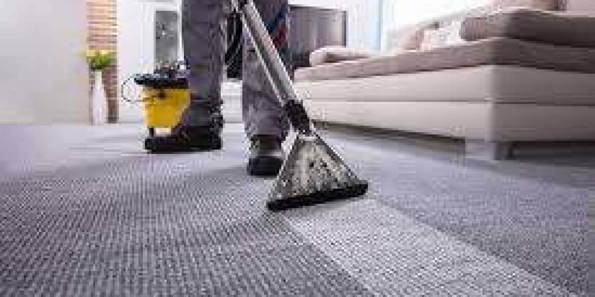 Why Home Sellers Trust Professional Carpet Cleaning Services