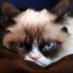 Recuperon Profile Picture