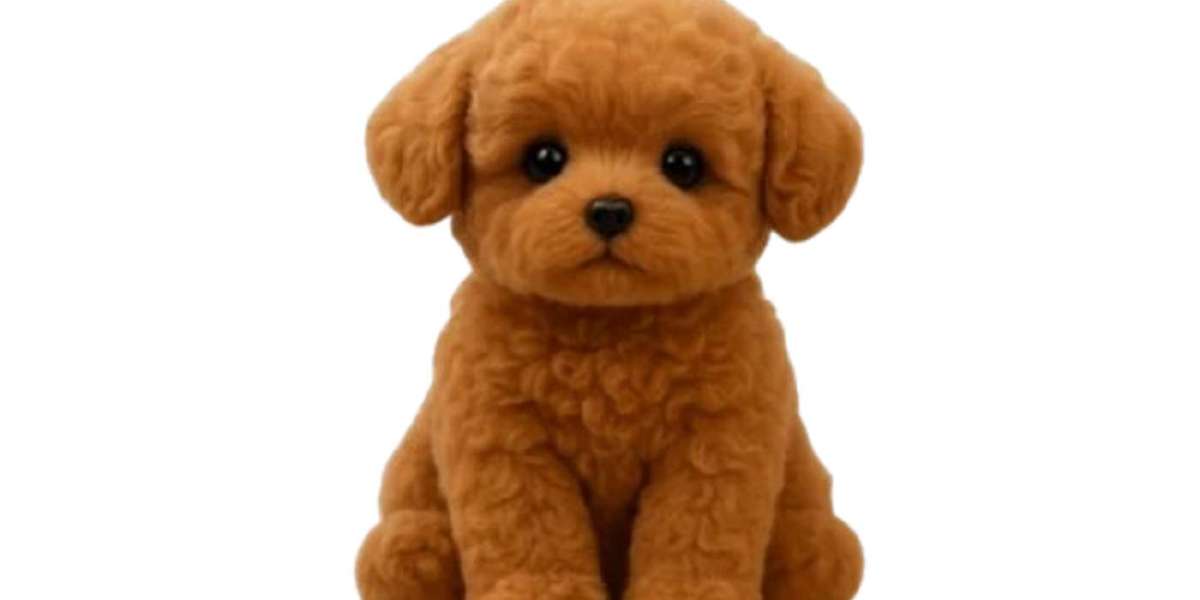 Wuffy Review Are These Enhanced Dog Toys Worth It