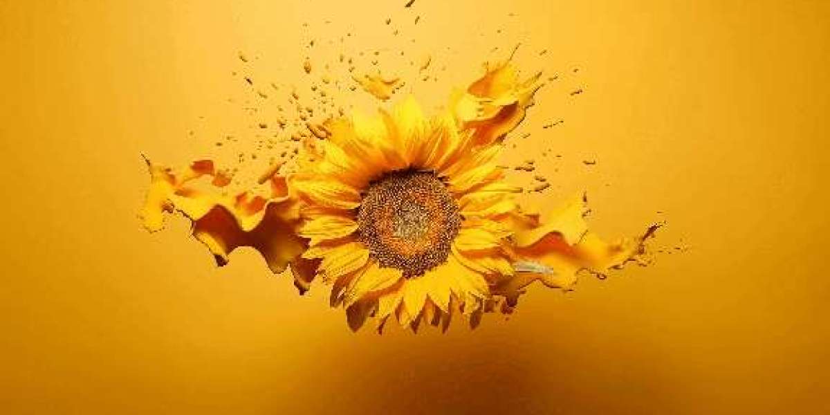 Reliable and Innovative Equipment for Streamlining Agricultural Laboratory Workflows