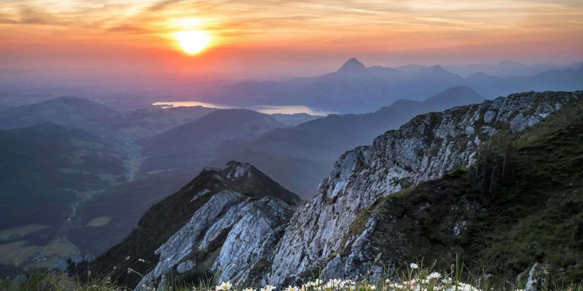 U4GM How to Druid Build Tips in Path of Exile 2