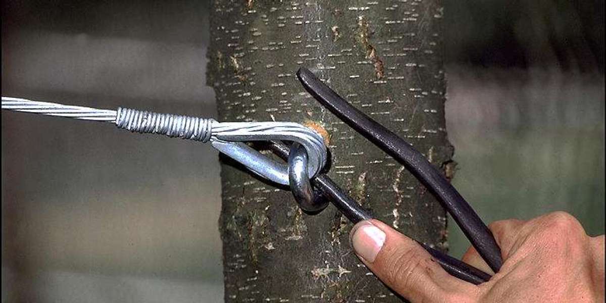 Cabling vs. Bracing: Advanced Techniques Tree Surgeons Use to Save Weak Trees