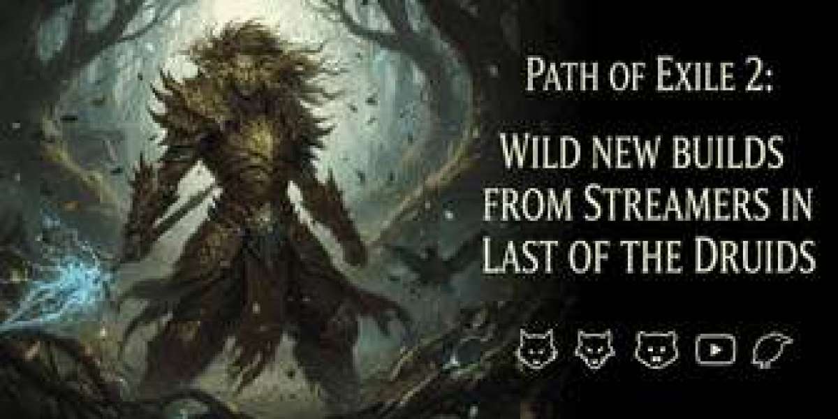 From Meme to Meta – The Craziest Druid Builds Streamers Made Work in PoE 2