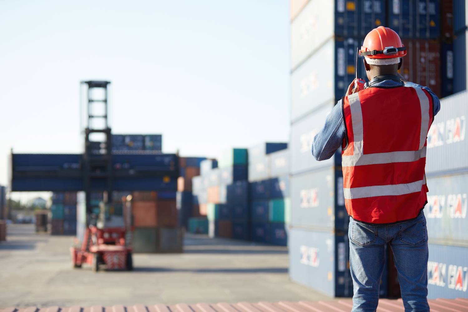 Clearing Agent In Dubai | Low Cost Clearing Agent UAE | Ryan Worldwide