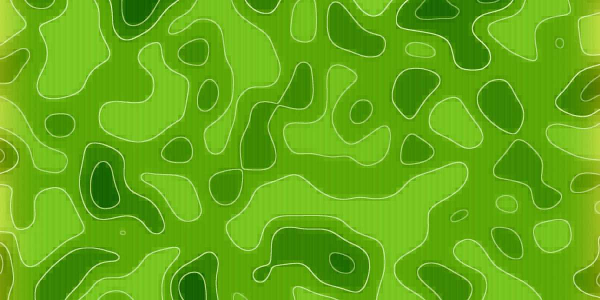 Investing in Gold and Silver Roth IRA: A Comprehensive Case Study