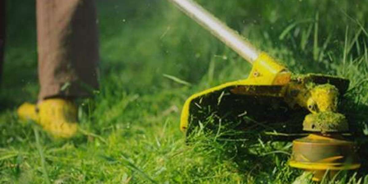 Garden Maintenance: Keep Your Outdoor Spaces Pristine with Mitch’s Mowing