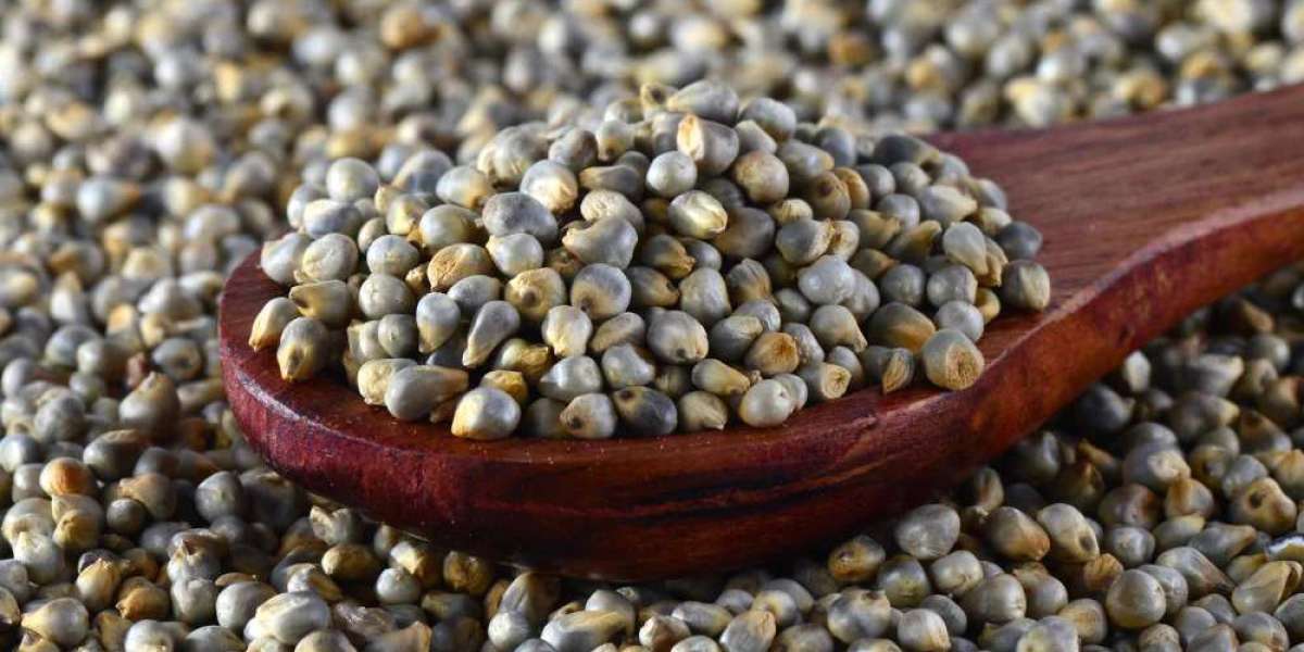 How Pearl Millet Improves Digestive Health Immunity Nutrition