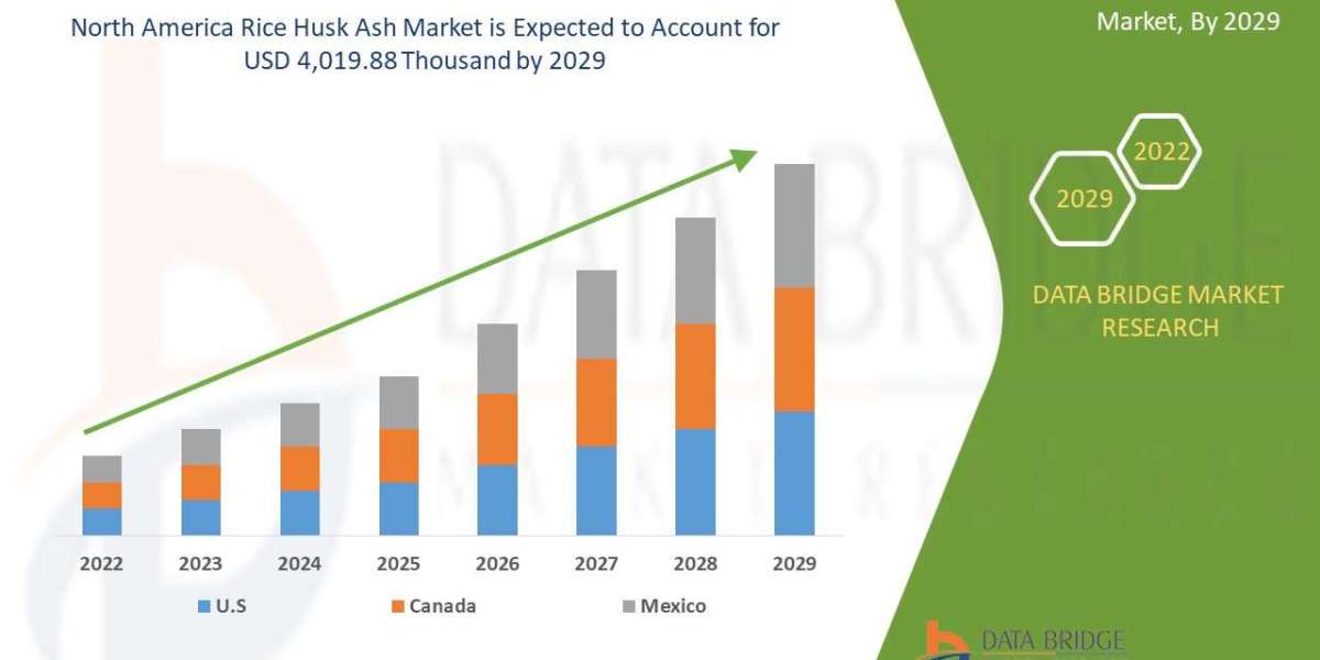 North America Rice Husk Ash Market Size, Share, Trends, Demand, Growth and Competitive Analysis