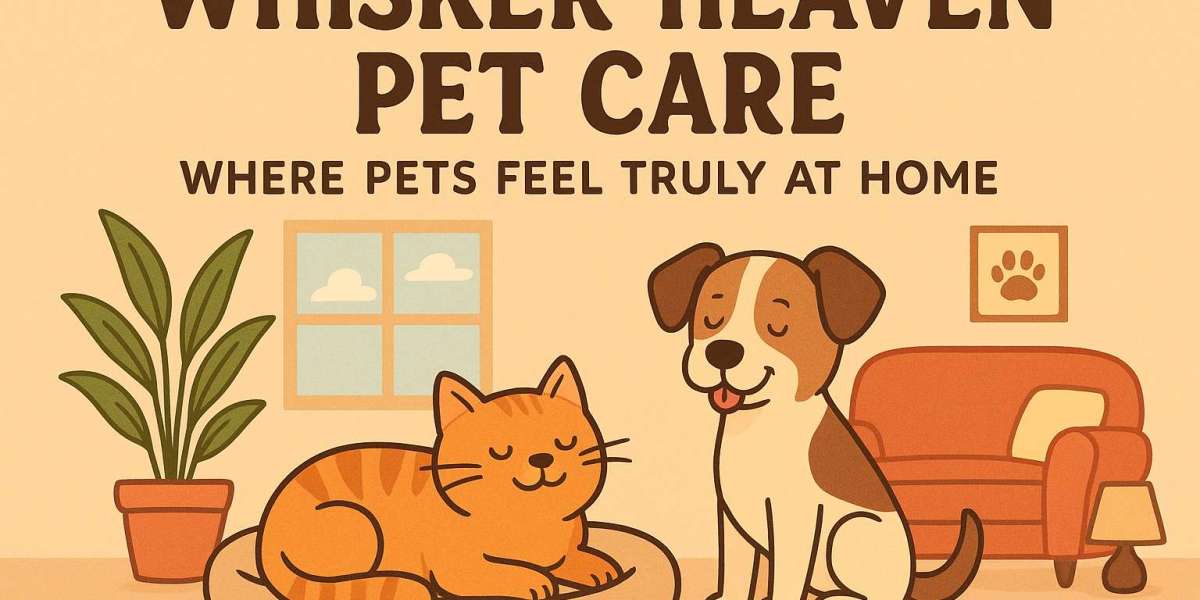 Whisker Heaven Pet Care – Where Pets Feel Truly at Home