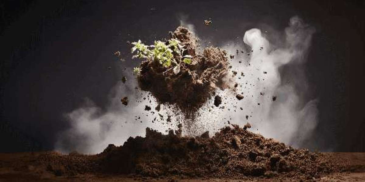 Enhance Your Lab Operations with High-Quality Consumables and Laboratory Tools