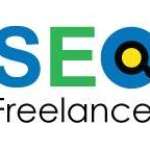 Seoexpert Gaurav Profile Picture