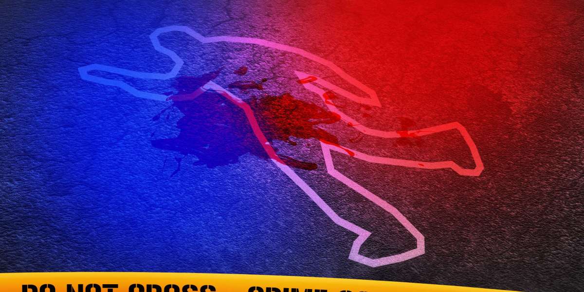 The Best Private Jet Charter Companies of 2023: A Comprehensive Guide