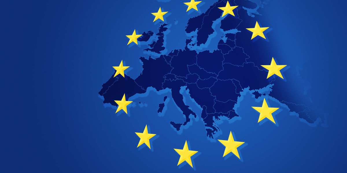 Exploring Charter Aircraft Options Close To You