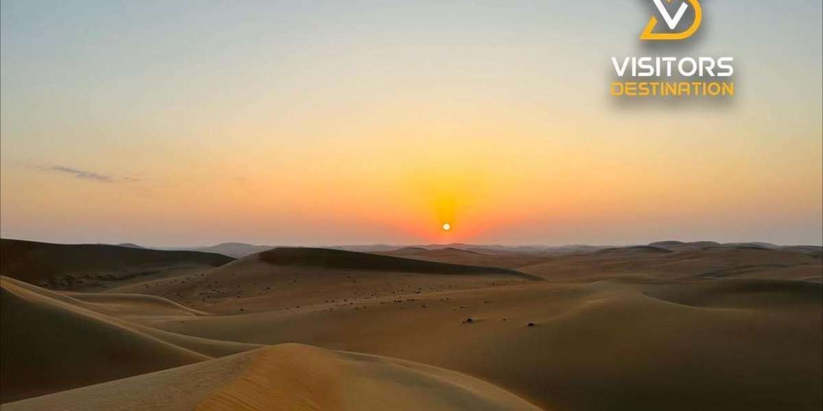 Abu Dhabi Morning Desert Safari – A Peaceful Start to the Arabian Day