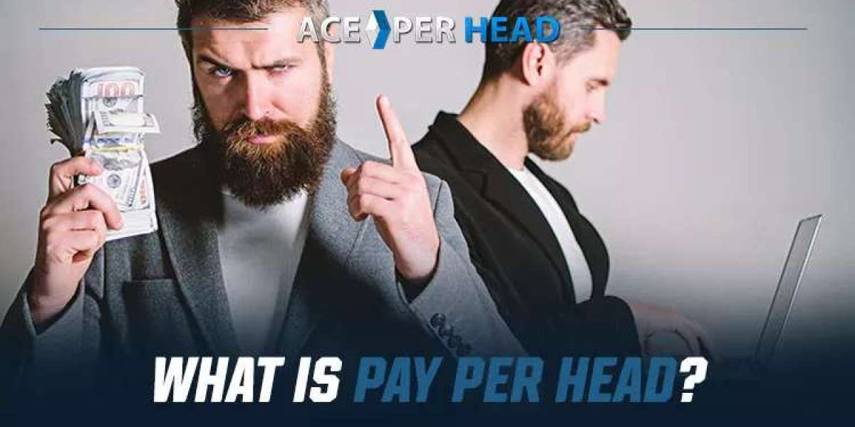 Start Your Bookmaking Journey with the Best Pay Per Head Service