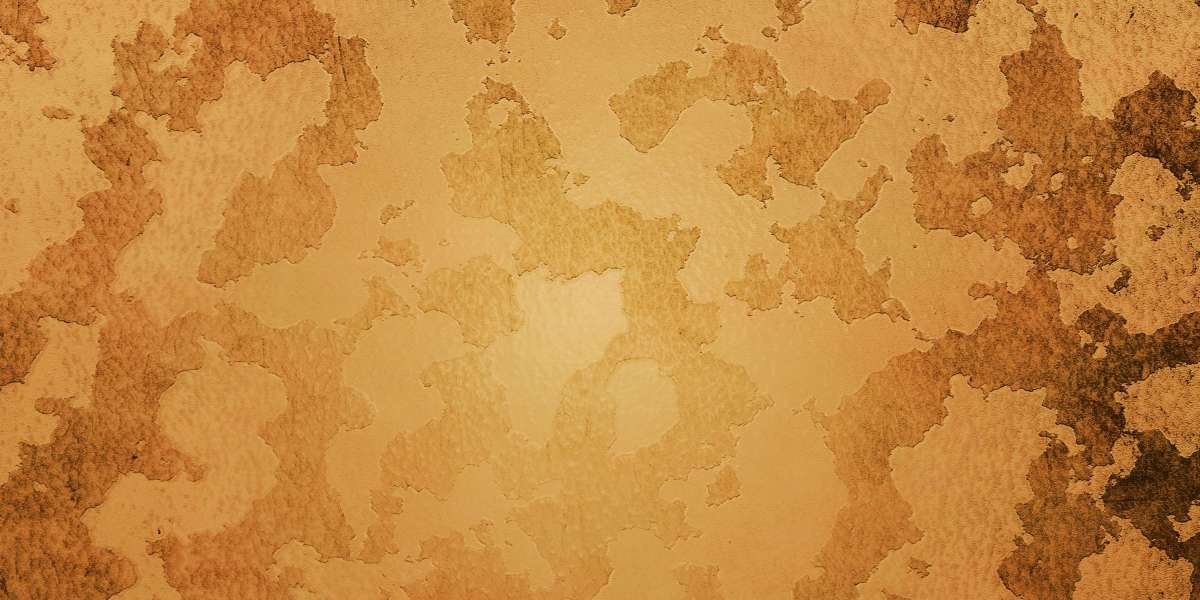 Sugar Daddy Websites In Chicago: An In-Depth Research