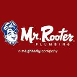 Mr Rooter Plumbing of Greenville profile picture