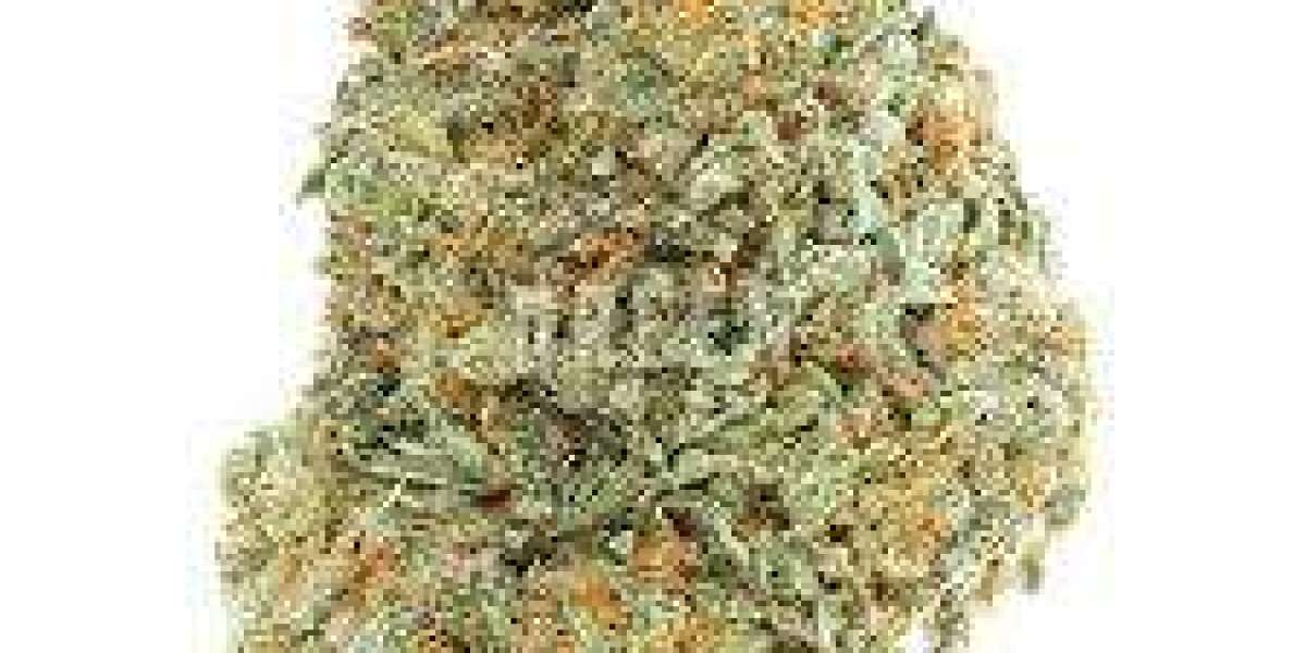 Miracle Alien Cookies X1 and Creativity: Boosting Focus and Imagination