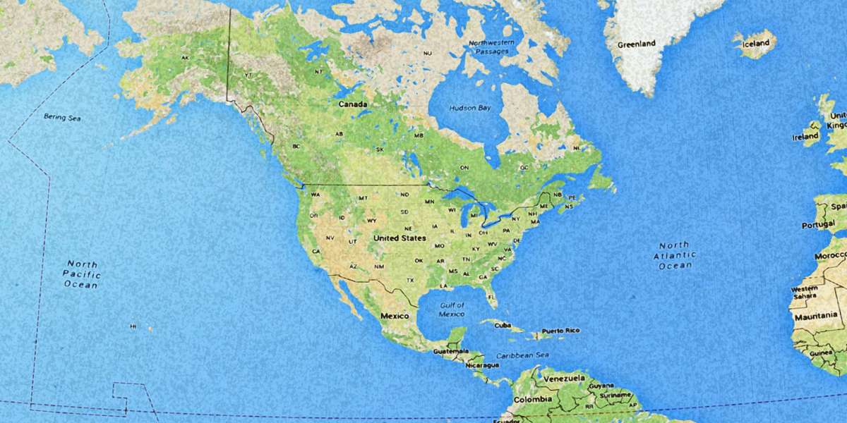 Understanding the Online Purchase of Provigil: A Study on Overnight Buying Trends