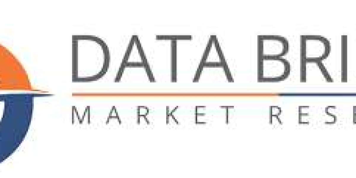 India Food Ingredients Market Size, Share, Trends, Opportunities, Key Drivers and Growth Prospectus