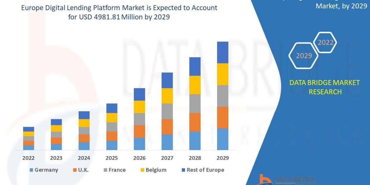 Europe Digital Lending Platform Market Production, Demand, and Business Projections 2029